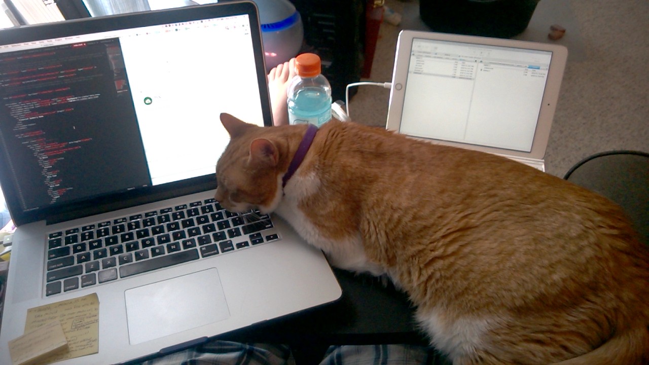Owen loves to help me code